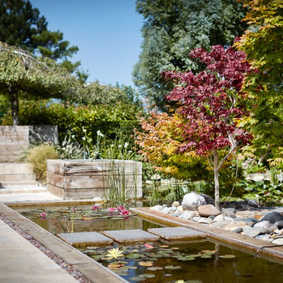 aménagement jardin bassin ardèche