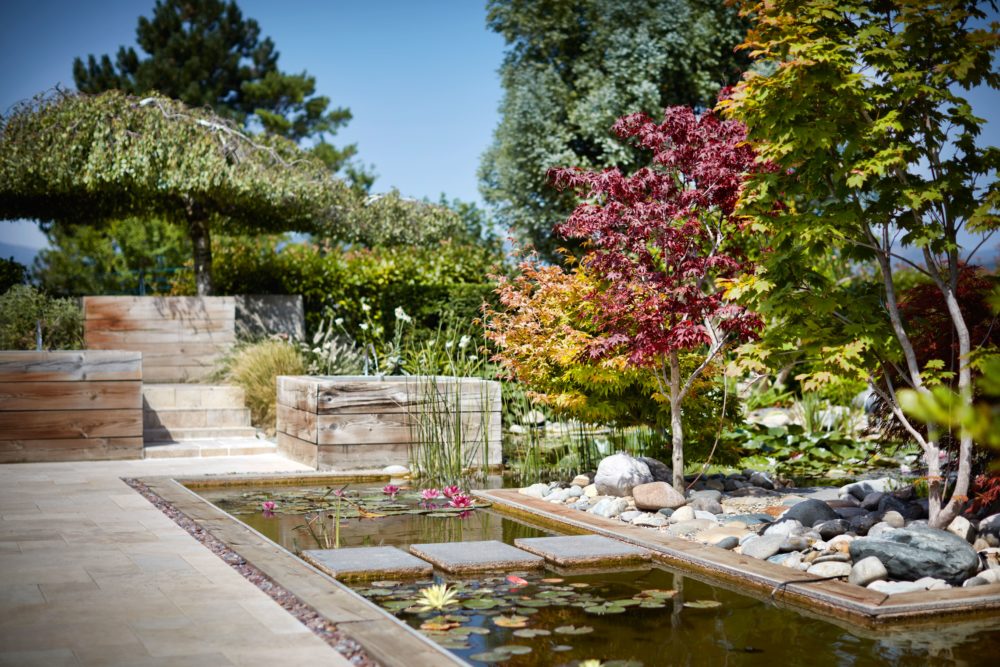 aménagement jardin bassin ardèche