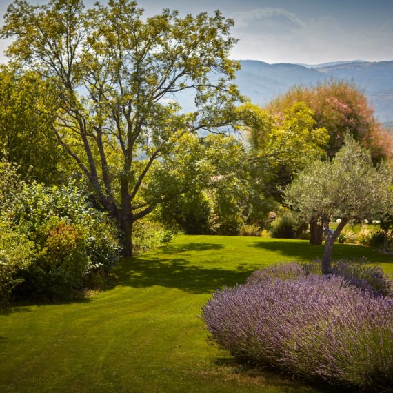 Le Jardin Traditionnel - Cédric Pierre Paysage