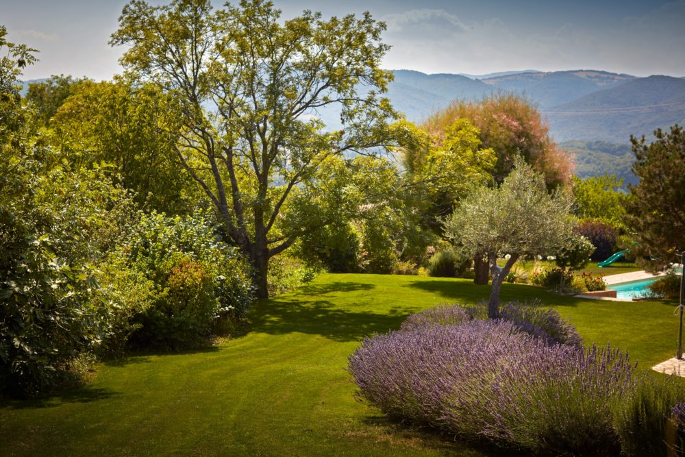 Le Jardin Traditionnel - Cédric Pierre Paysage