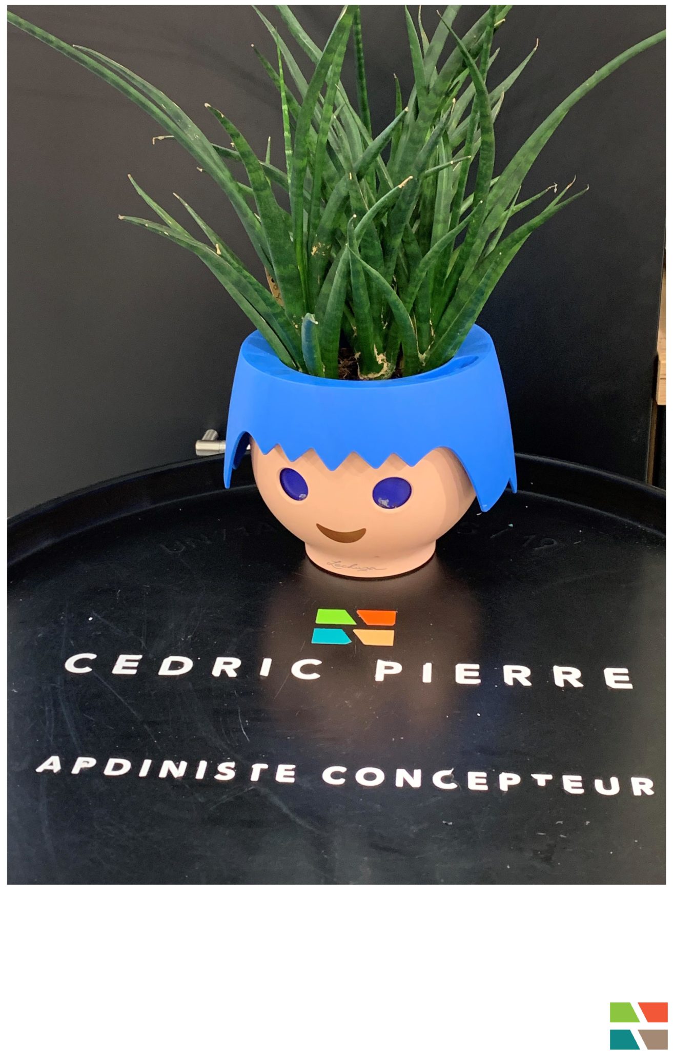 POT PLAYMOBIL©