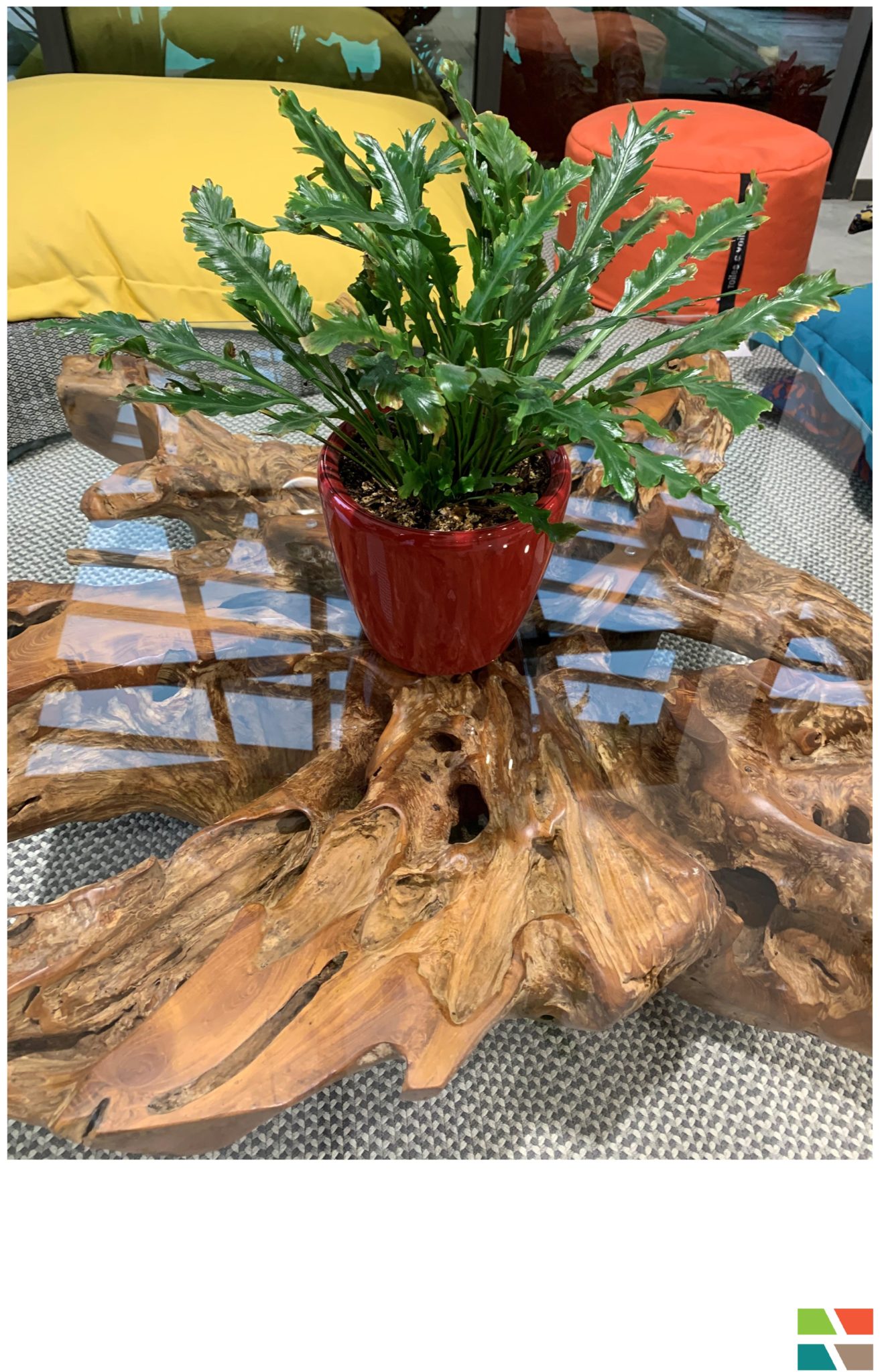 POT AVEC RESERVOIR