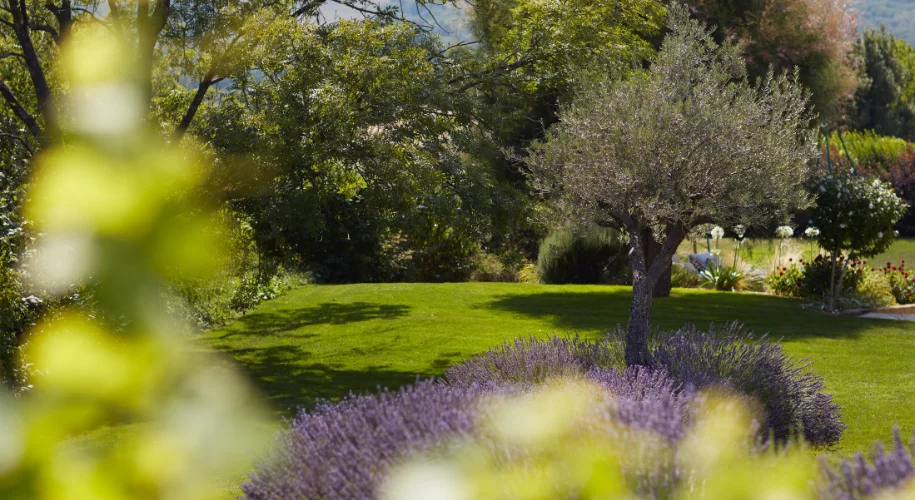 Jardin avec une ambiance paysagère
