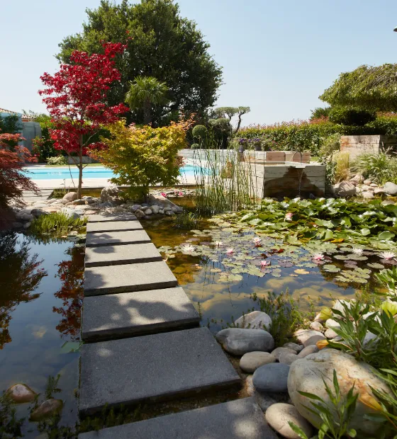 Jardin au fil de l'eau dans l'ambiance paysagère