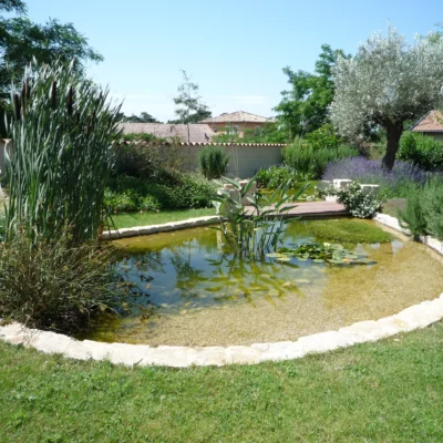 Bassin naturel dans un jardin