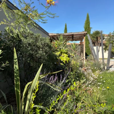 Aménagement d'un bosquet paysager