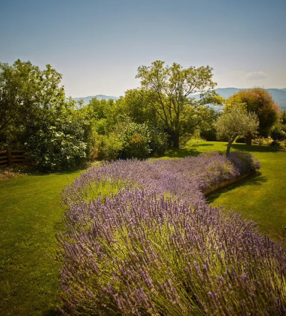 Jardin parfum du sud avec une ambiance paysagère