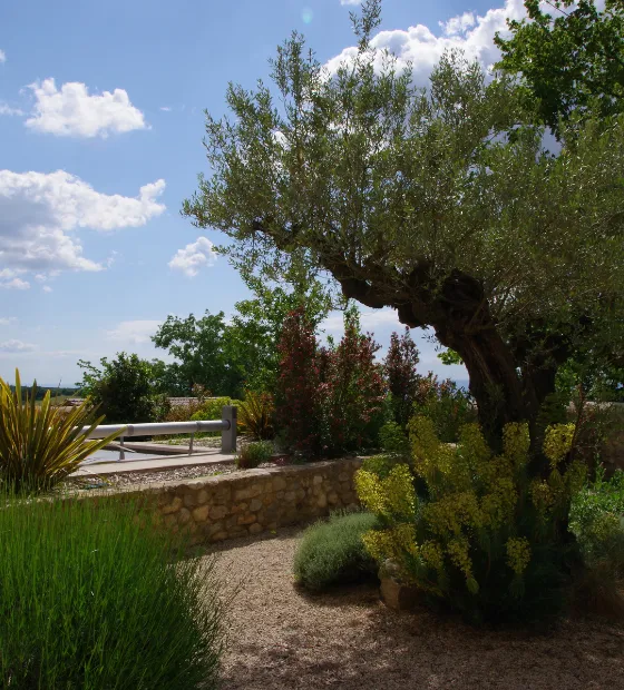 Réalisation d'un jardin paysager