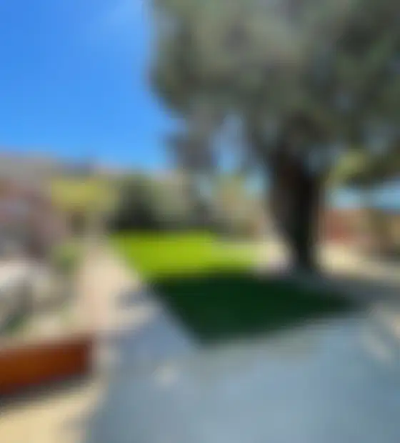 Jardin contemporain en attente